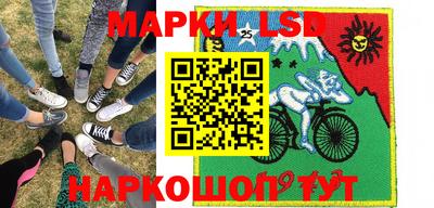 крисы Моздок