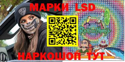 крисы Моздок