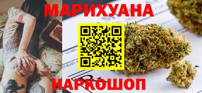 крисы Моздок