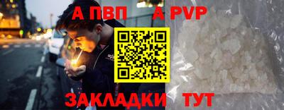 крисы Моздок